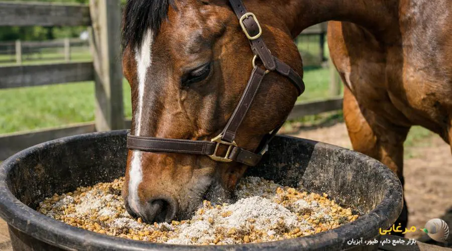 مکمل پروبیوتیک اسب با توجه به عملکرد ویژه دستگاه گوارش و نیازهای فیزیولوژیک هر گروه، برای انواع مختلف اسب ها بسیار مؤثر است. استفاده هدفمند از این مکمل می تواند سلامت گوارش، جذب مواد مغذی و عملکرد عمومی اسب را بهبود بخشد. به صورت حرفه ای می توان این دسته بندی را ارائه کرد: