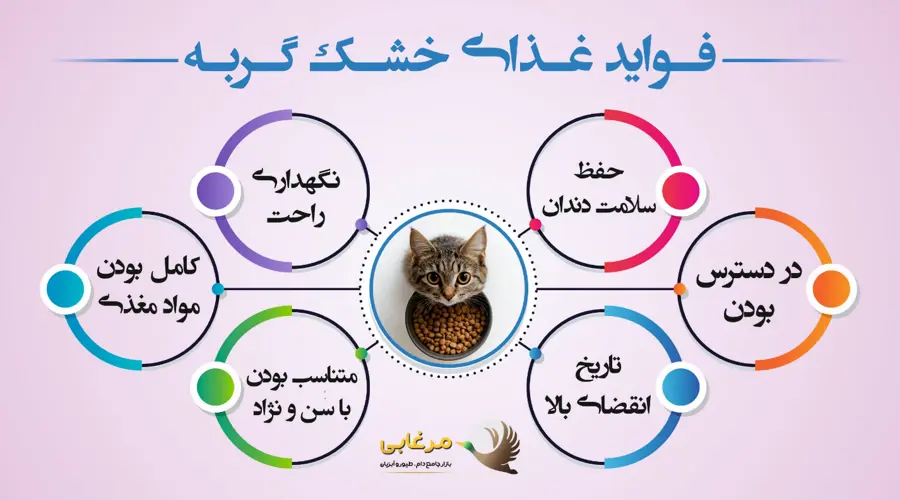 مزایا غذای خشک گربه