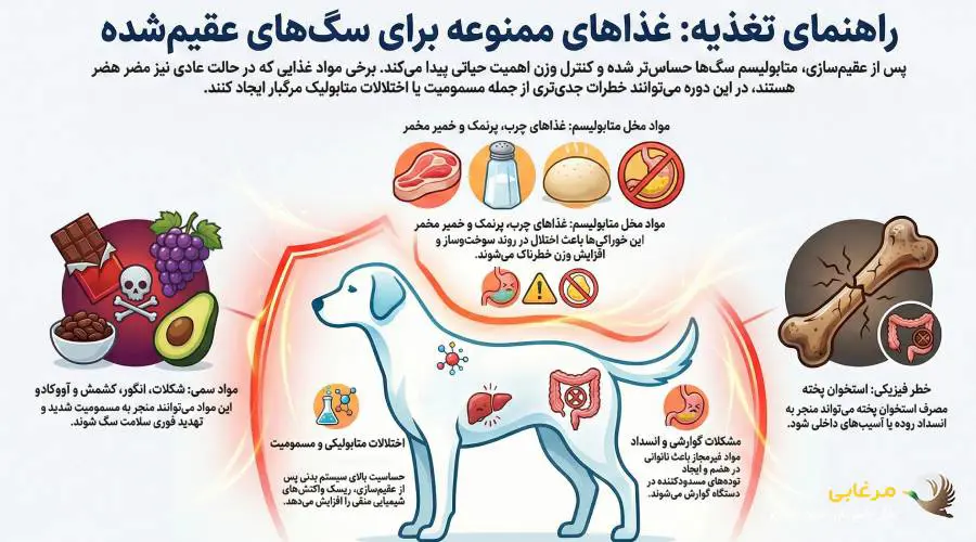 غذا های ممنوعه برای سگ عقیم شده