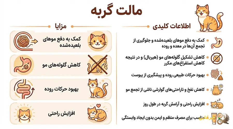 مزایای مالت گربه