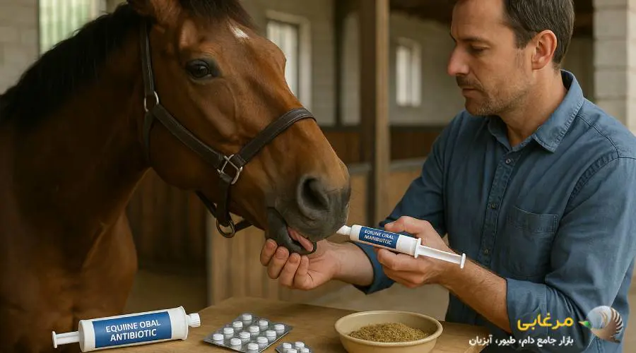 آنتی بیوتیک خوراکی اسب
