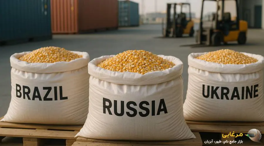 انواع ذرت دامی موجود در بازار ایران