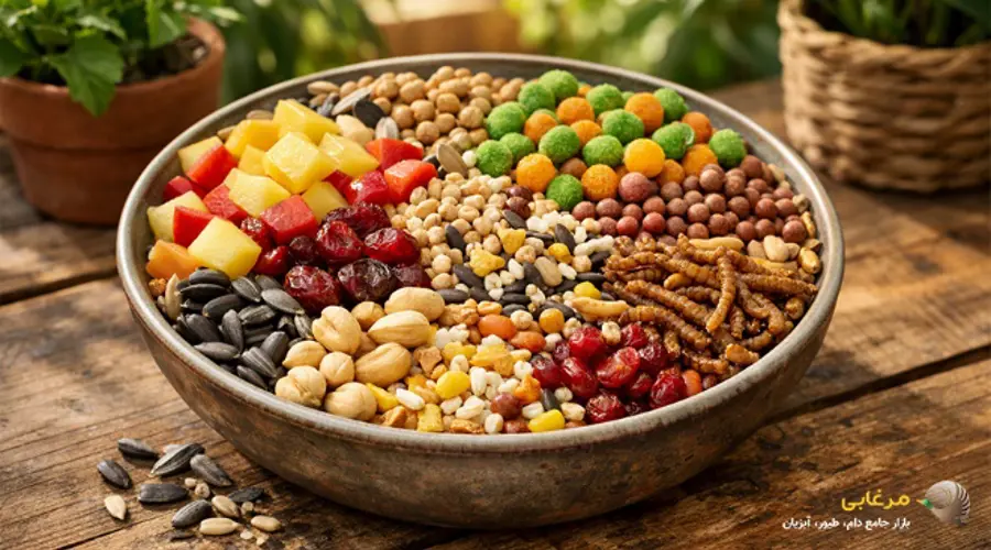 غذای پرنده خانگی