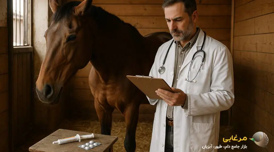 درمان عفونت و آبسه اسب با آنتی بیوتیک