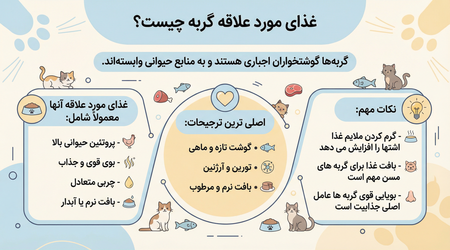 غذای مورد علاقه گربه