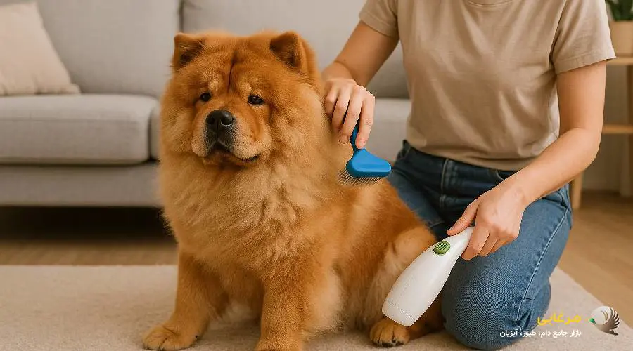 مراقبت های بهداشتی سگ چاوچاو