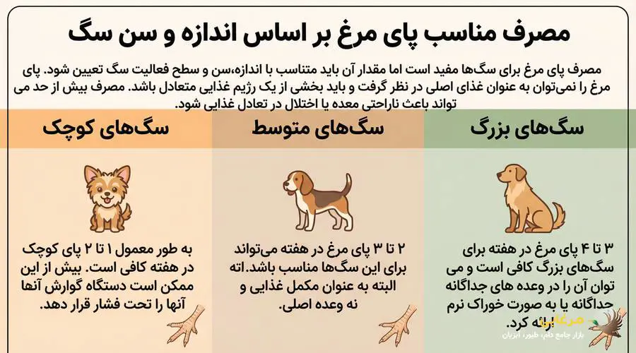 میزان مصرف پای مرغ برای سگ