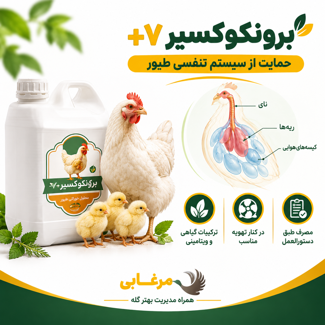 برخی مکمل های تخصصی بازار دام و طیور با ترکیبی از عصاره های گیاهی، ویتامین ها و ریزمغذی ها برای حمایت تغذیه ای از سلامت گله عرضه می شوند. برونکوکسیر +7 یکی از محصولاتی است که طبق اطلاعات ارائه شده، ترکیباتی مانند آویشن، اکالیپتوس، زنیان، نعناع فلفلی، اکیناسه، ختمی، ویتامین های مختلف، روی و سلنیوم را در فرمولاسیون خود دارد.