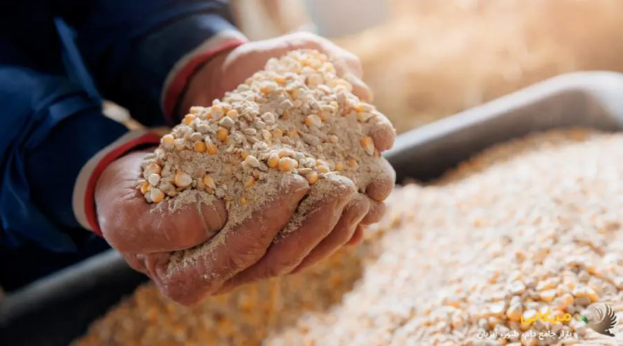 قیمت کنسانتره دام پرواری