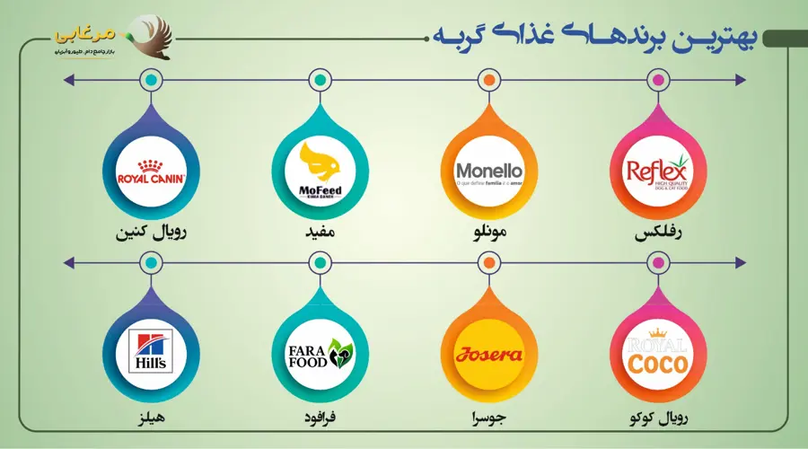 بهترین برند غذای گربه