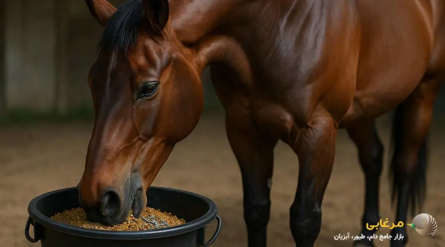 فواید مکمل اسب