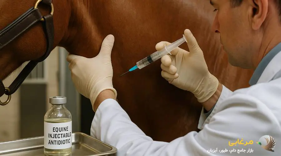 آنتی بیوتیک تزریقی اسب