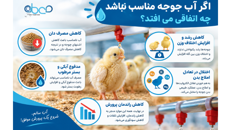 TDS آب برای جوجه و مرغ چقدر باید باشد