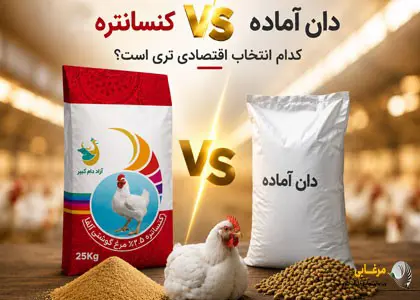 چرا کنسانتره آماده انتخاب هوشمندانه‌تری نسبت به دان آماده است؟