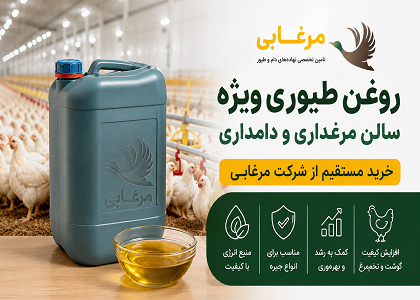 کارخانه تولید روغن مرغی ویژه خوراک دام و طیور در تهران و قم