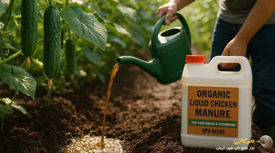 کود مرغی مایع برای خیار