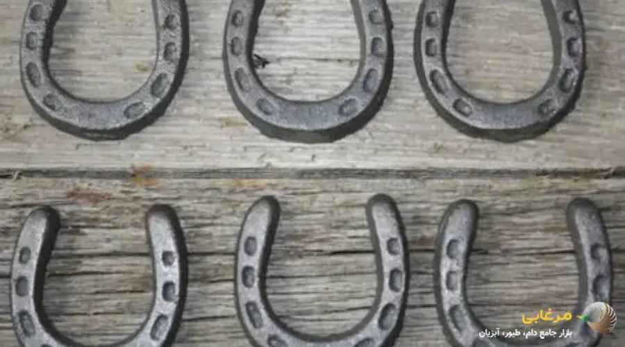 خواص نعل اسب