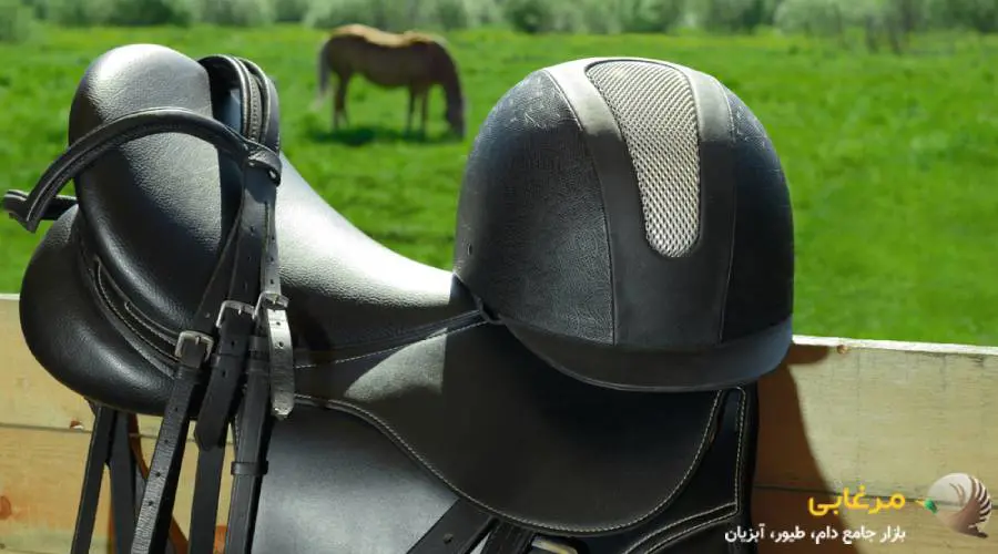 لوازم هدایت اسب