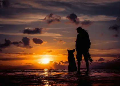 طول عمر سگ ها؛ عوامل موثر و راه های افزایش آن طول عمر سگ ها؛ عوامل موثر و راه های افزایش آن