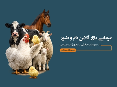 فروشگاه مرغابی