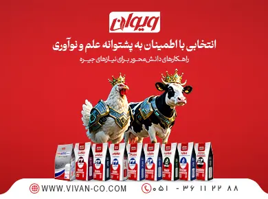 ویوان