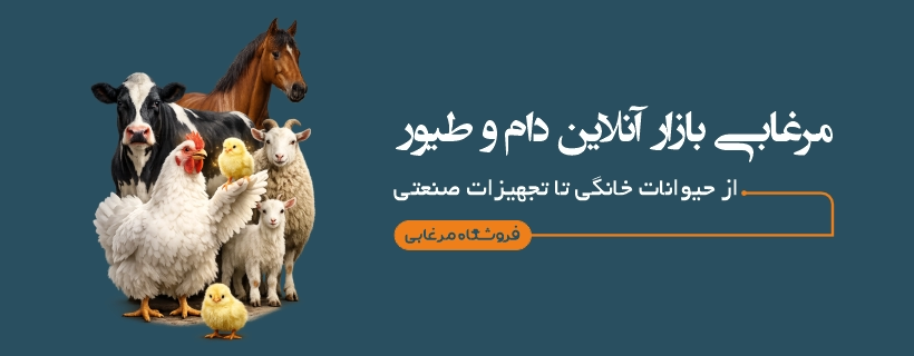 فروشگاه مرغابی