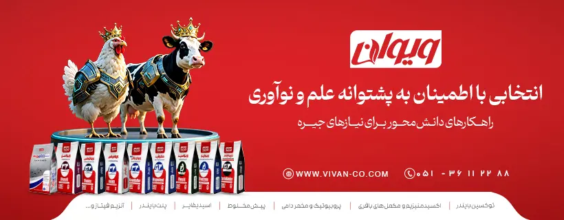 ویوان