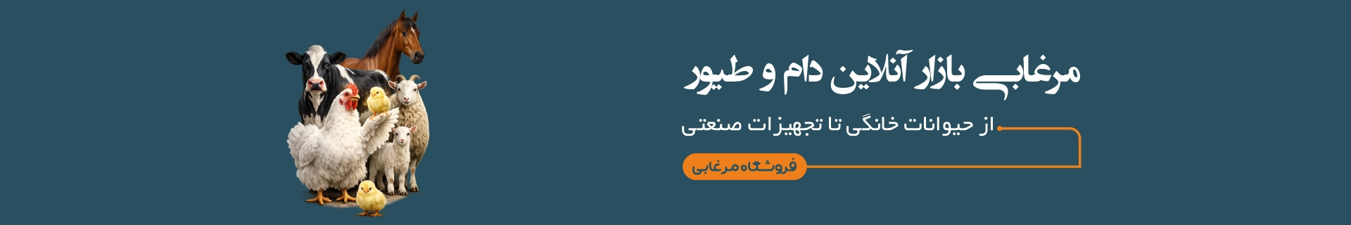 فروشگاه مرغابی