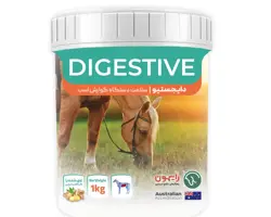  دایجستیو | Digestive