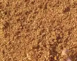 تصویر شماره 1 محصول 