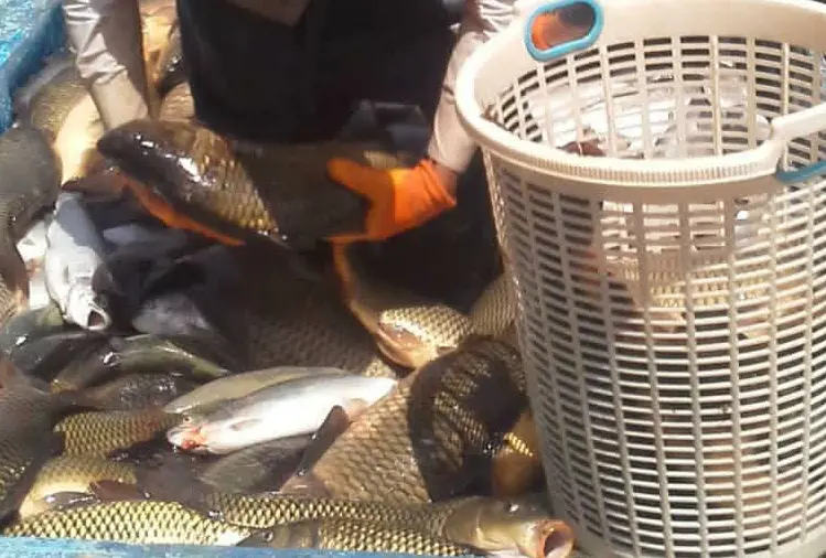 تصویر شماره 2 محصول 