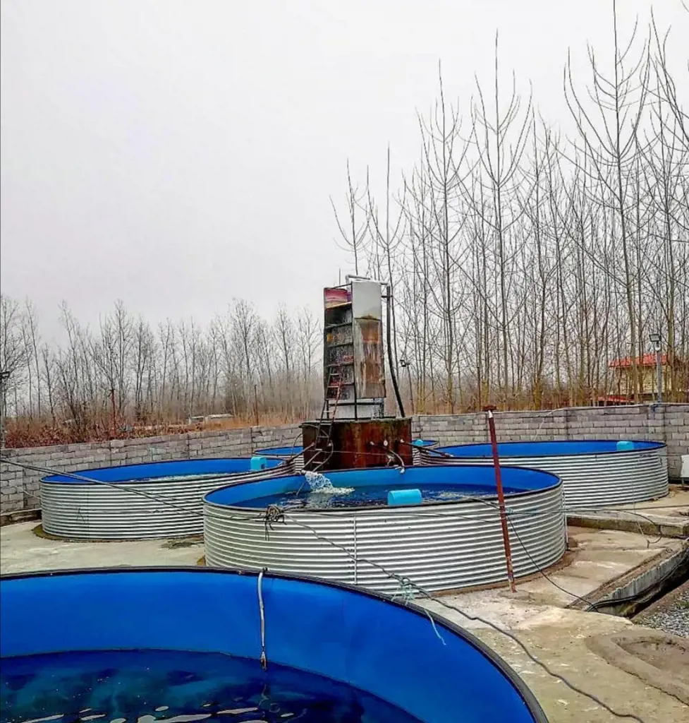 تصویر شماره 3 محصول 