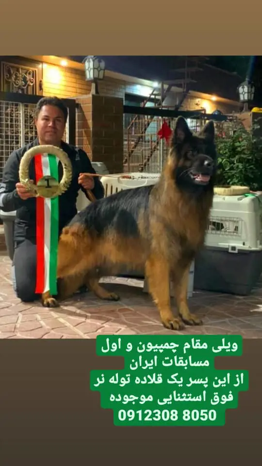 تصویر شماره 4 محصول 