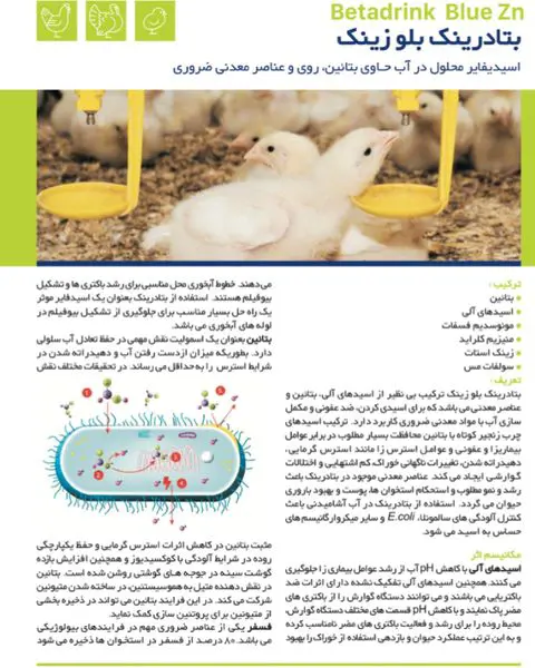 تصویر شماره 2 محصول 