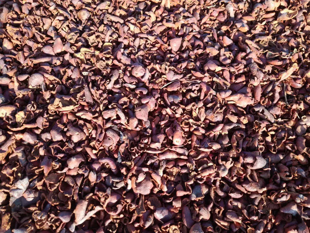 تصویر شماره 4 محصول 