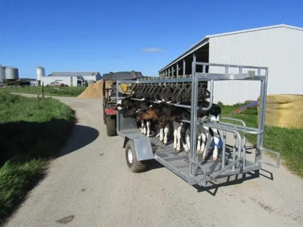 تصویر شماره 3 محصول 