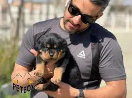 تصویر شماره 1 محصول 