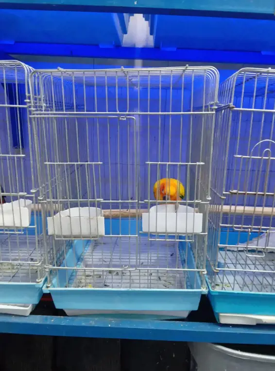 تصویر شماره 1 محصول 