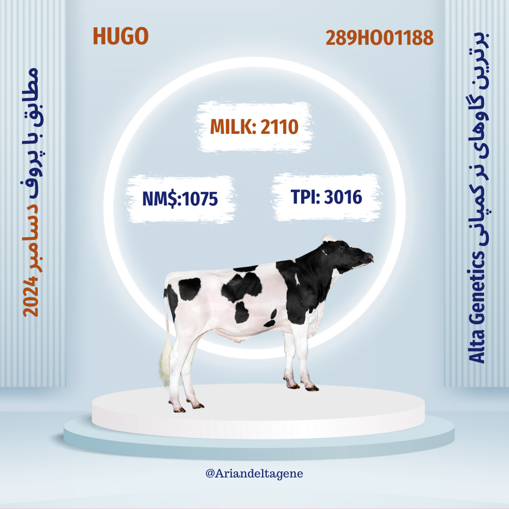 تصویر شماره 1 محصول 