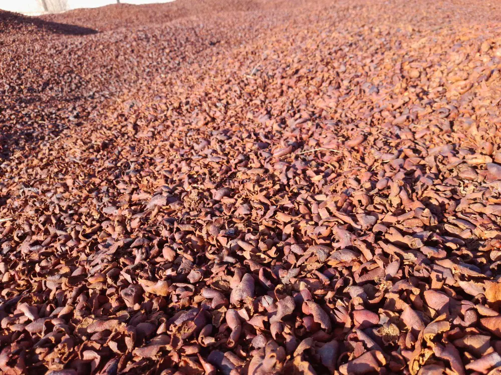 تصویر شماره 3 محصول 