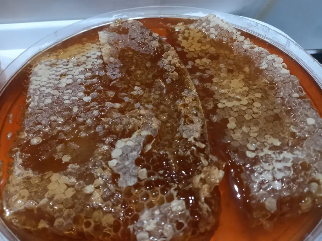 تصویر شماره 4 محصول 