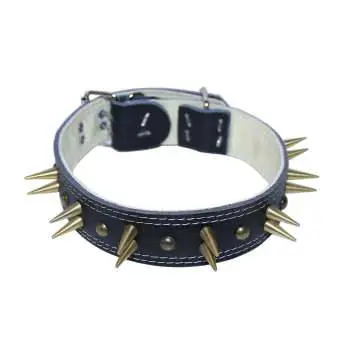 تصویر شماره 1 محصول 