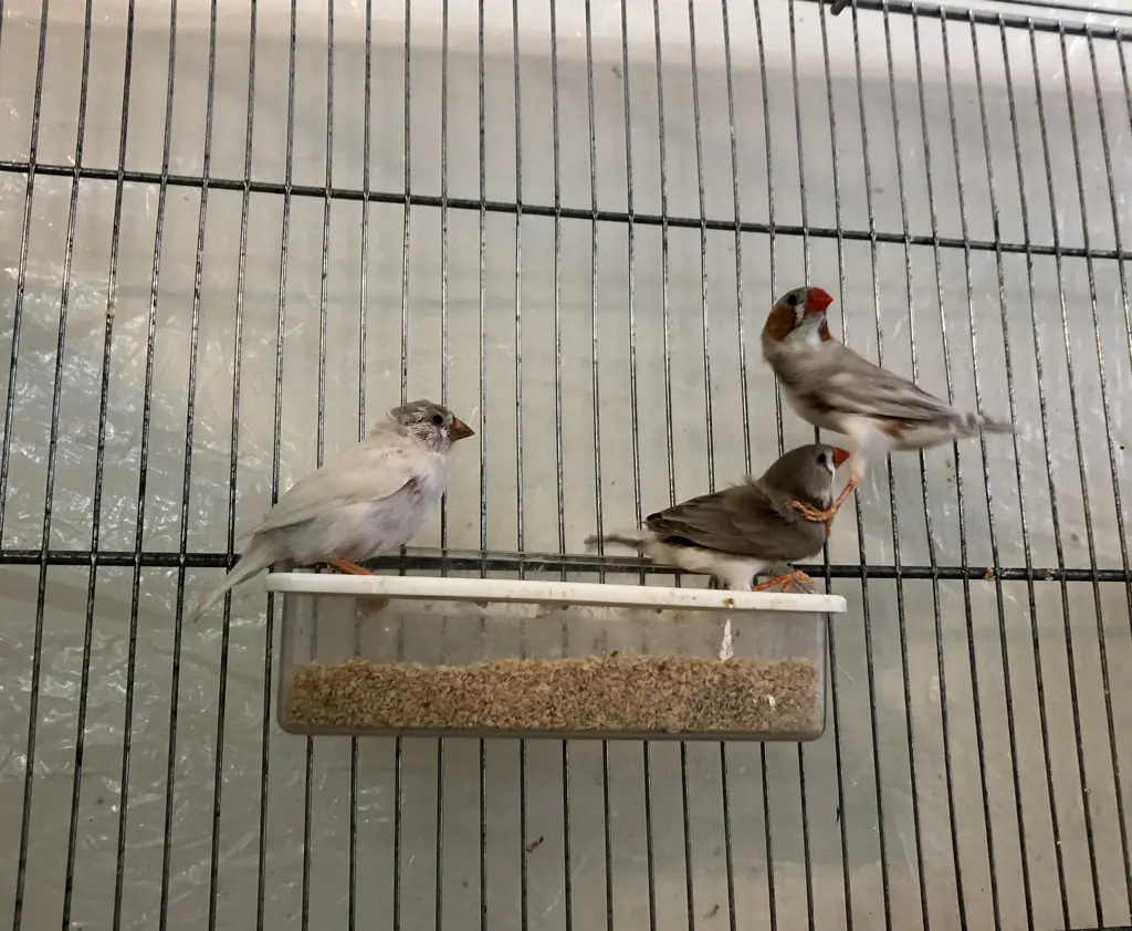 تصویر شماره 4 محصول 