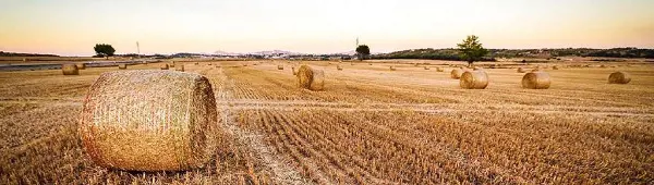 تصویر شماره 2 محصول 