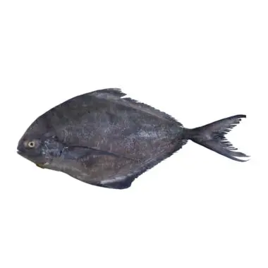 تصویر شماره 1 محصول 