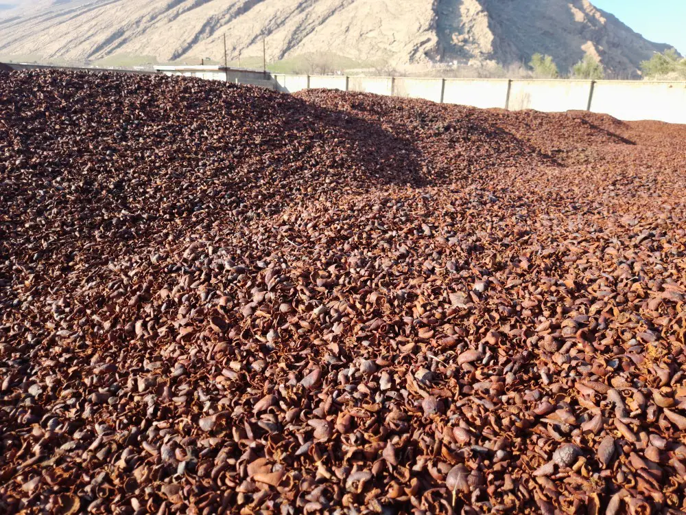 تصویر شماره 2 محصول 