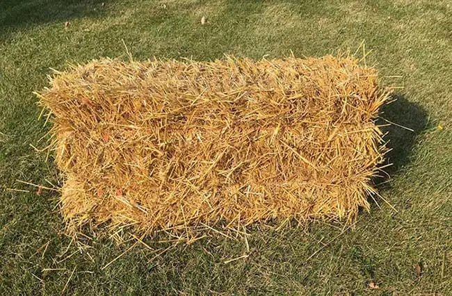 تصویر شماره 1 محصول 