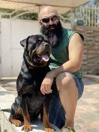 تصویر شماره 3 محصول 