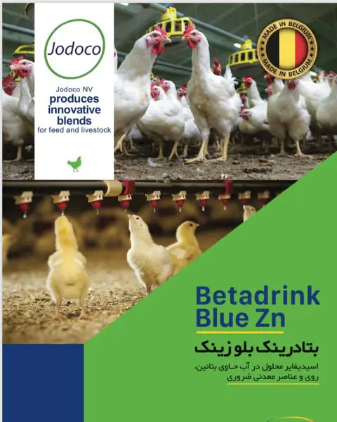 تصویر شماره 1 محصول 