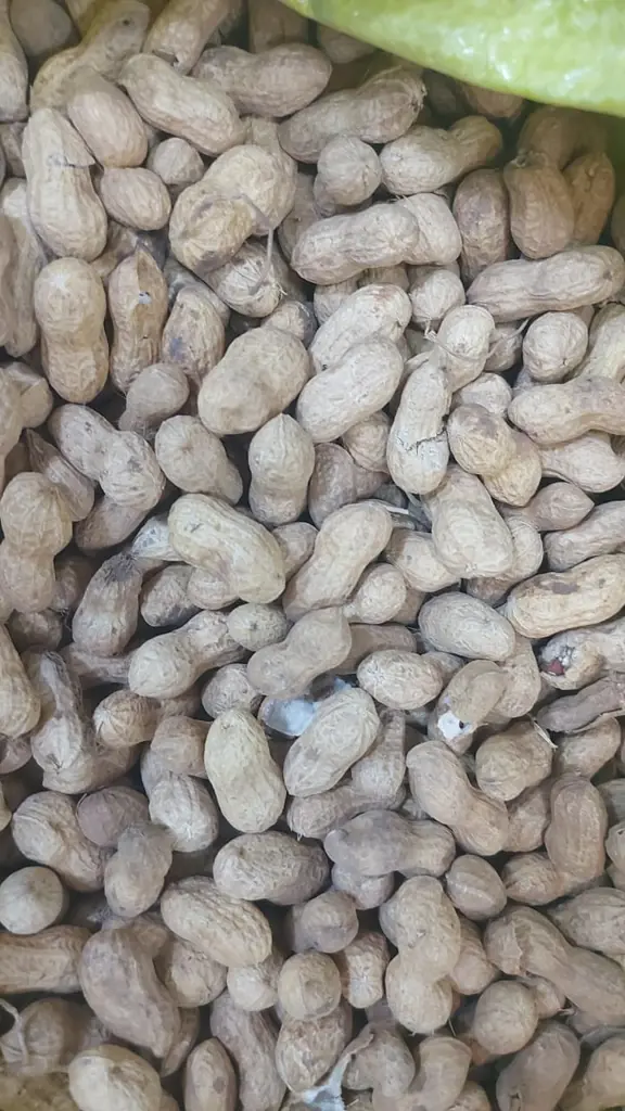 تصویر شماره 1 محصول 